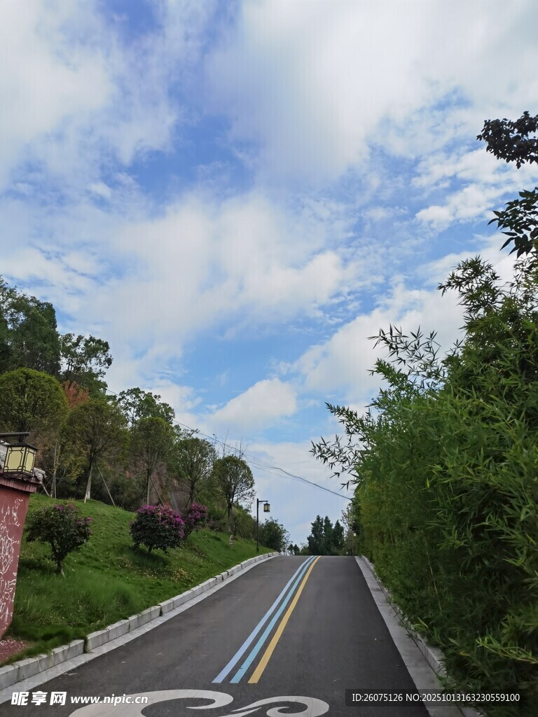 蜿蜒公路旁綠意盎然