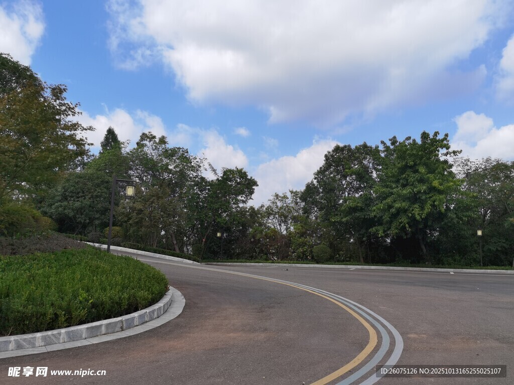 蜿蜒公路旁綠意盎然