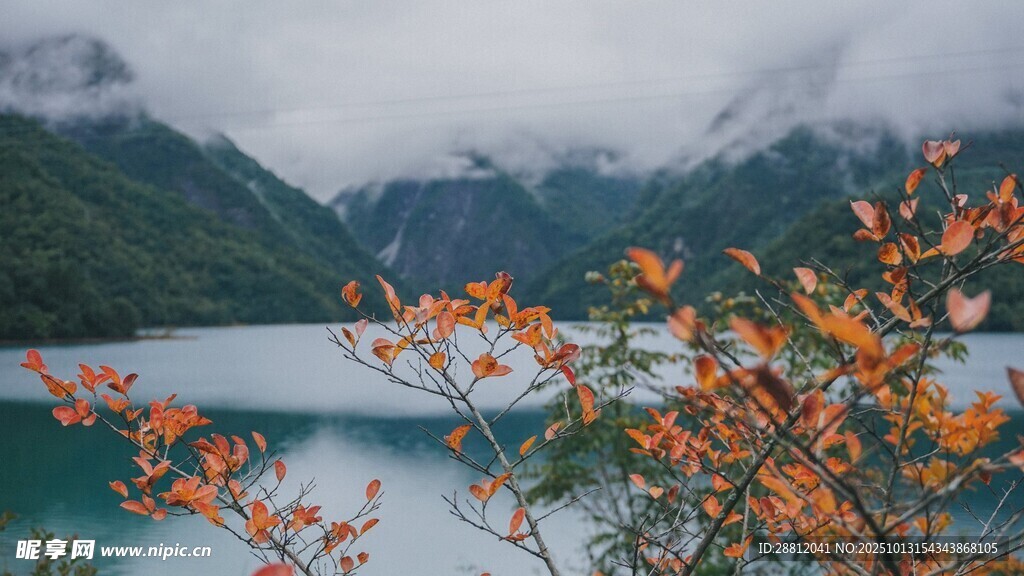 湖畔秋景
