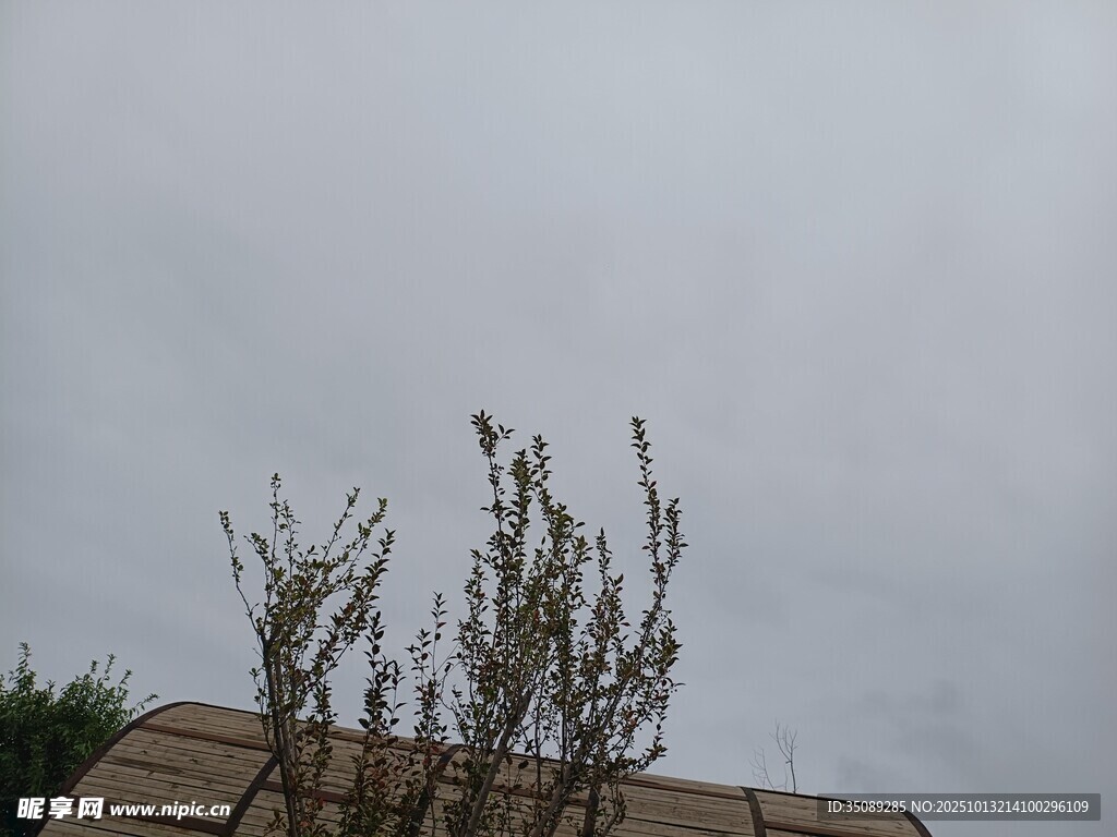 屋頂上方的稀疏綠植