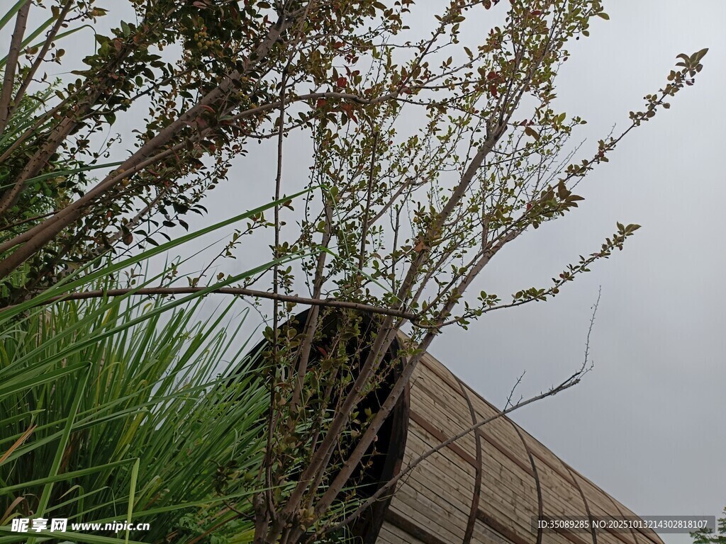 屋頂綠植景觀
