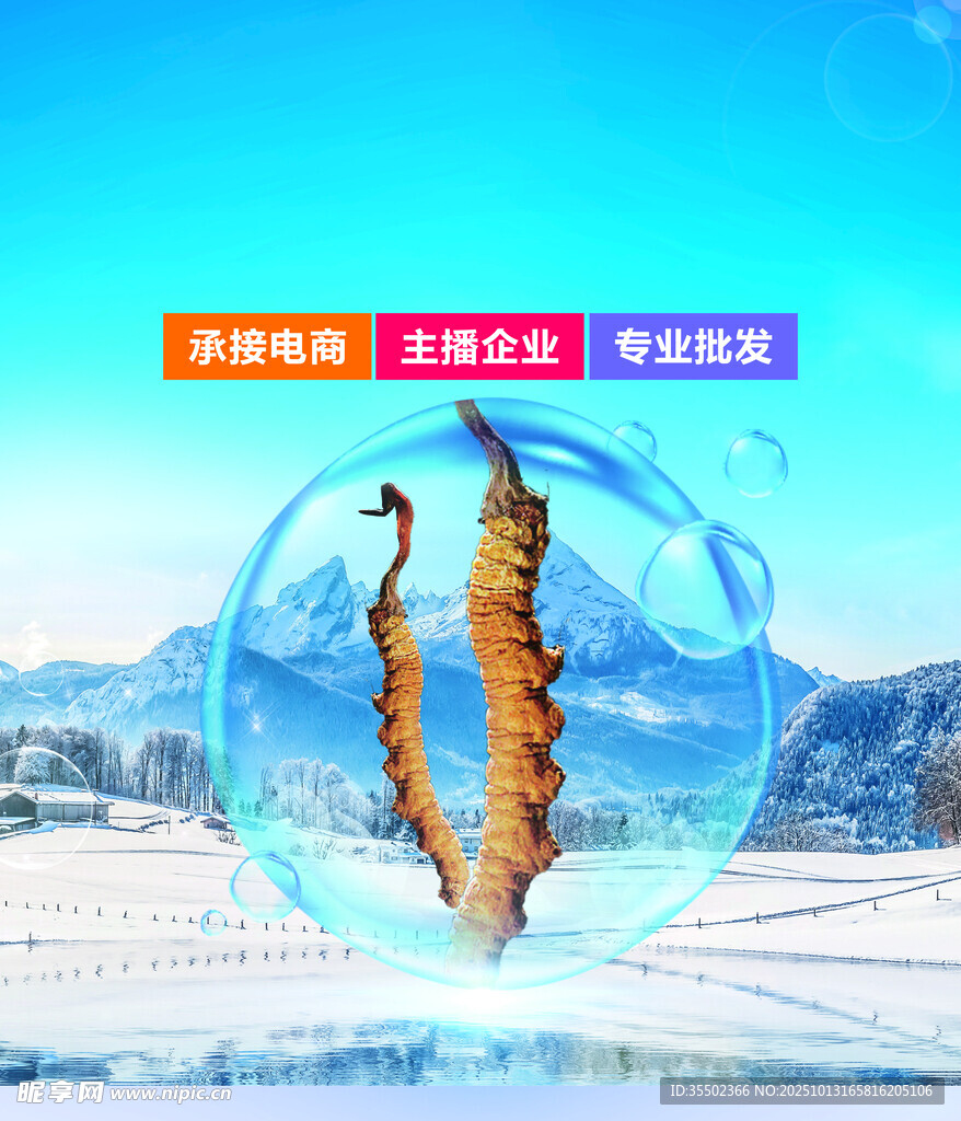 凍干蟲草特寫展示
