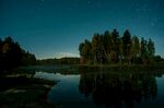 靜謐湖畔星空下的森林夜景