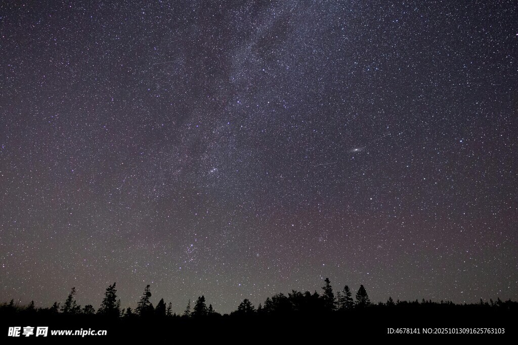 夜空下的森林與璀璨星河