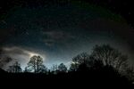 月夜下的森林與璀璨星空