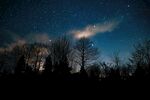 夜空下的樹(shù)林與璀璨星河