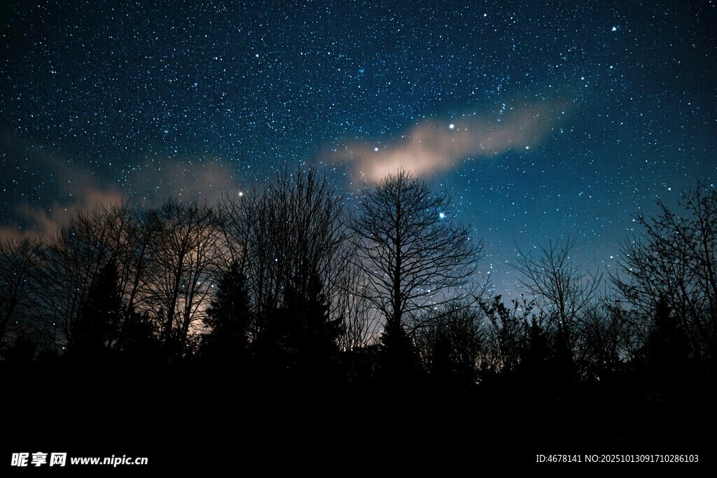 夜空下的樹林與璀璨星河