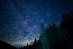 夜空下的森林美景