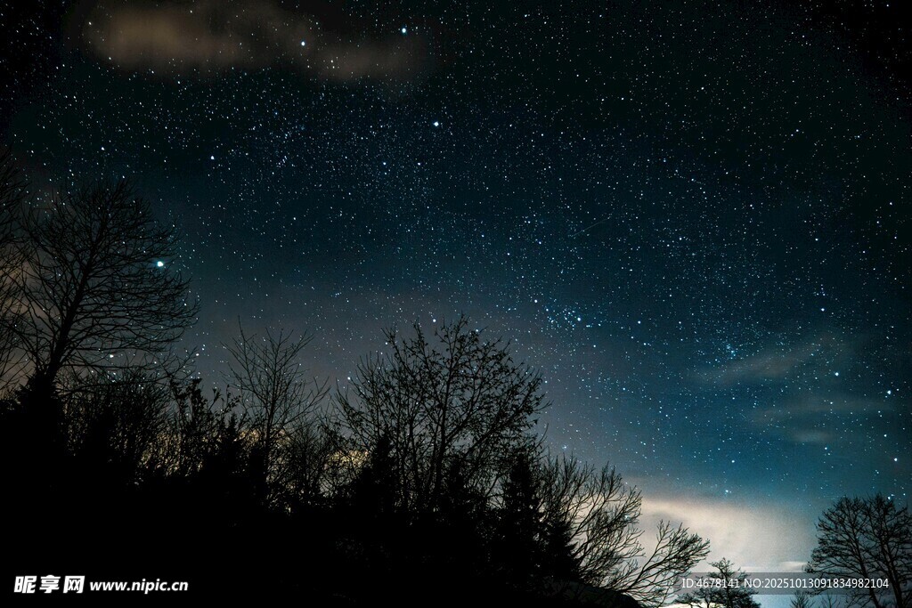 夜空下的樹木與璀璨繁星