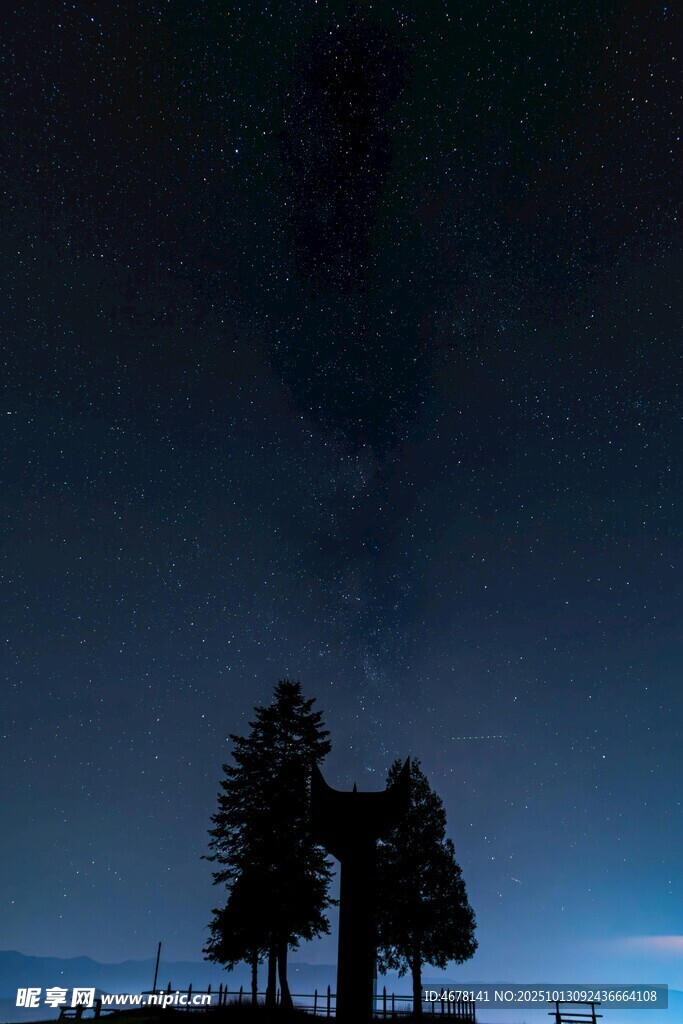 夜空下的靜謐樹木景觀