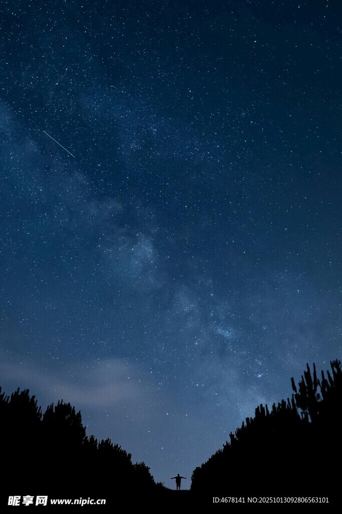 夜空下的山林與璀璨星河