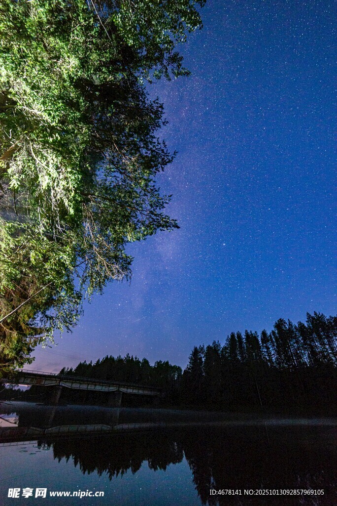 湖畔夜空下的靜謐樹林
