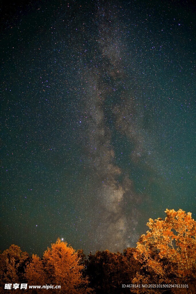 秋夜星空下的絢爛樹林