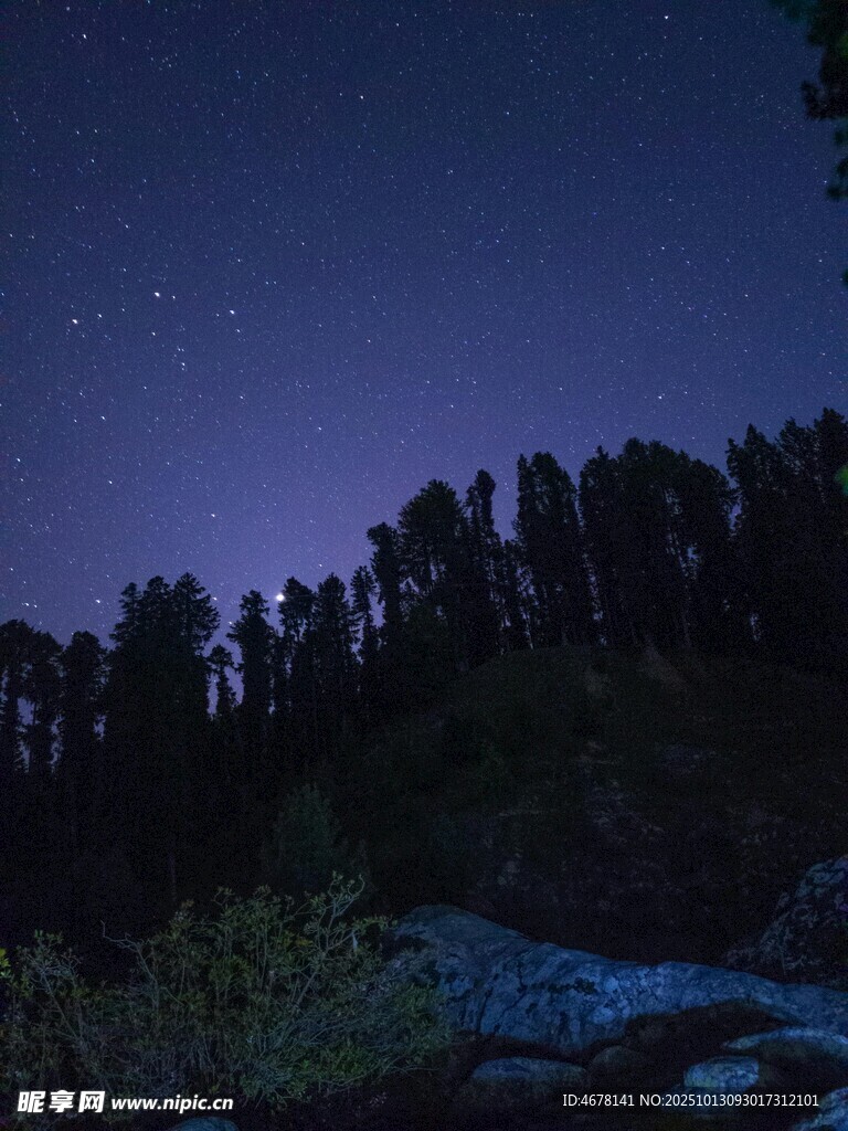 夜空下的森林與閃爍繁星
