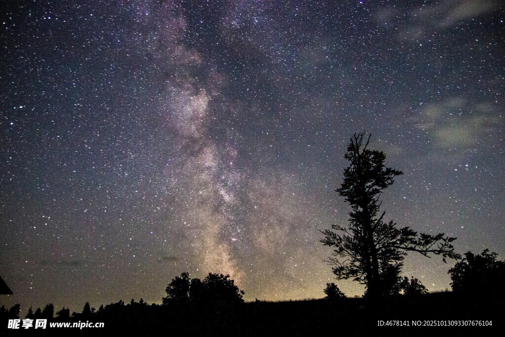 夜空下的璀璨星河與孤樹