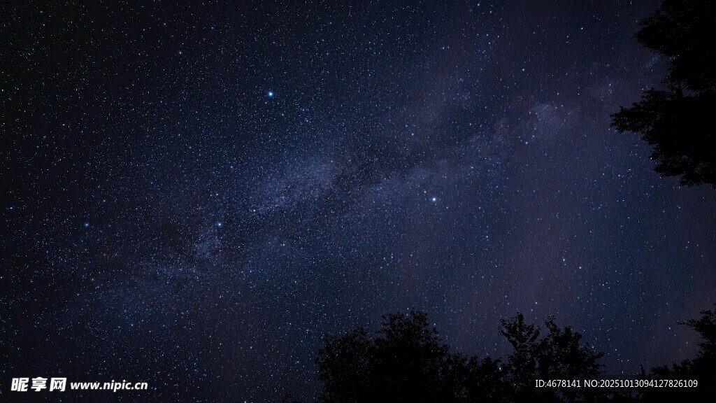 夜空繁星下的樹(shù)木剪影