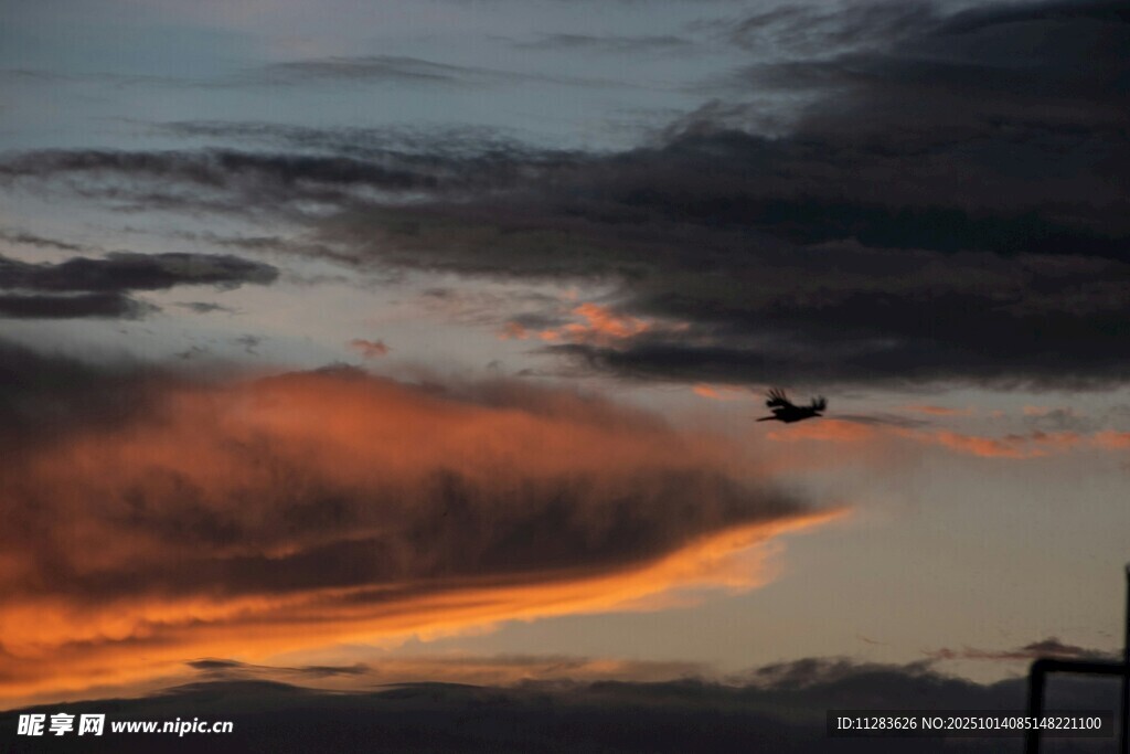 夕陽下天空中的飛行飛機(jī)