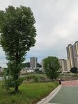 城市中綠樹旁的休閑步道