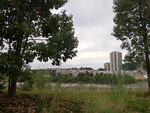城市中綠樹環(huán)繞的開闊草地