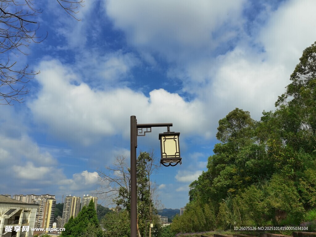 戶外路燈與蔥郁樹木景致