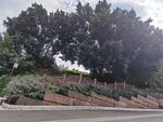 城市階梯式綠植景觀