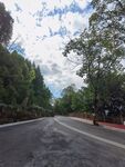 林間開闊道路風(fēng)景