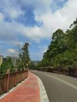 蜿蜒公路旁的蔥郁景致