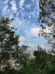 林間遠(yuǎn)眺藍(lán)天碧海美景