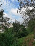 戶外綠樹藍(lán)天自然風(fēng)景