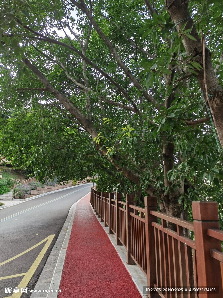 城市林蔭步道景觀
