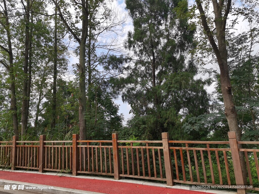 林間木欄旁的紅色步道