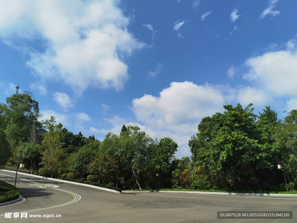藍天白云下的林間道路