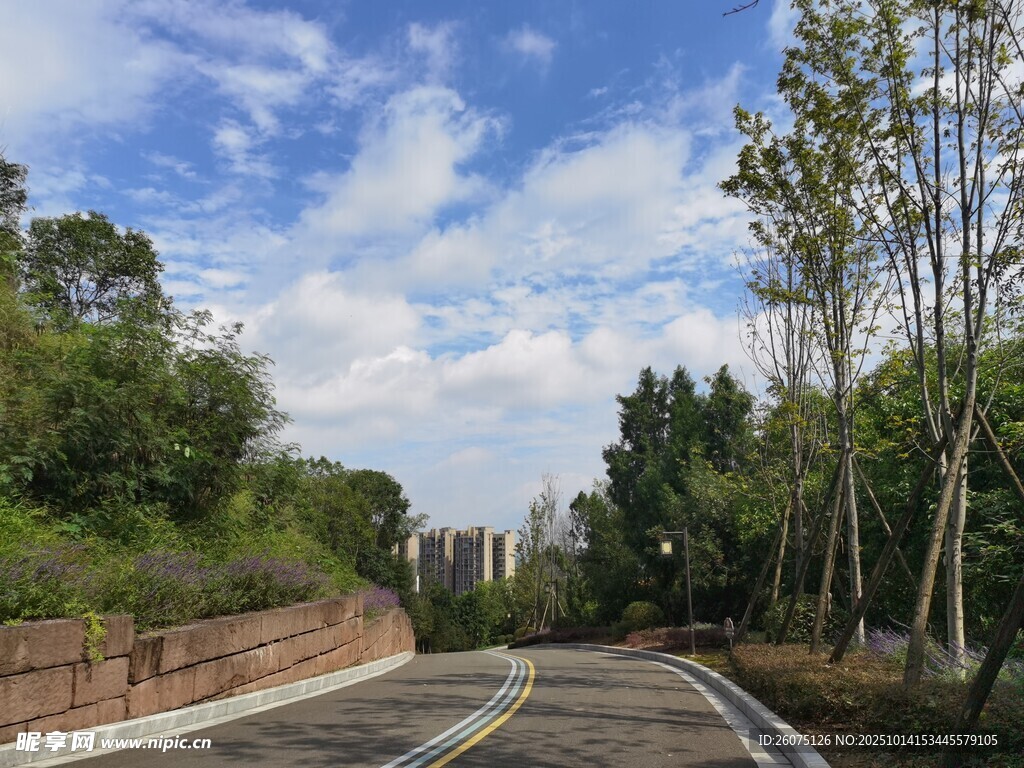蜿蜒公路旁綠樹藍天白云