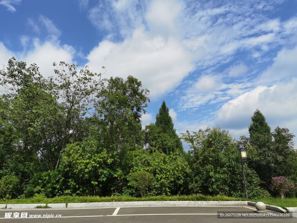 路邊蔥郁樹林與藍(lán)天白云