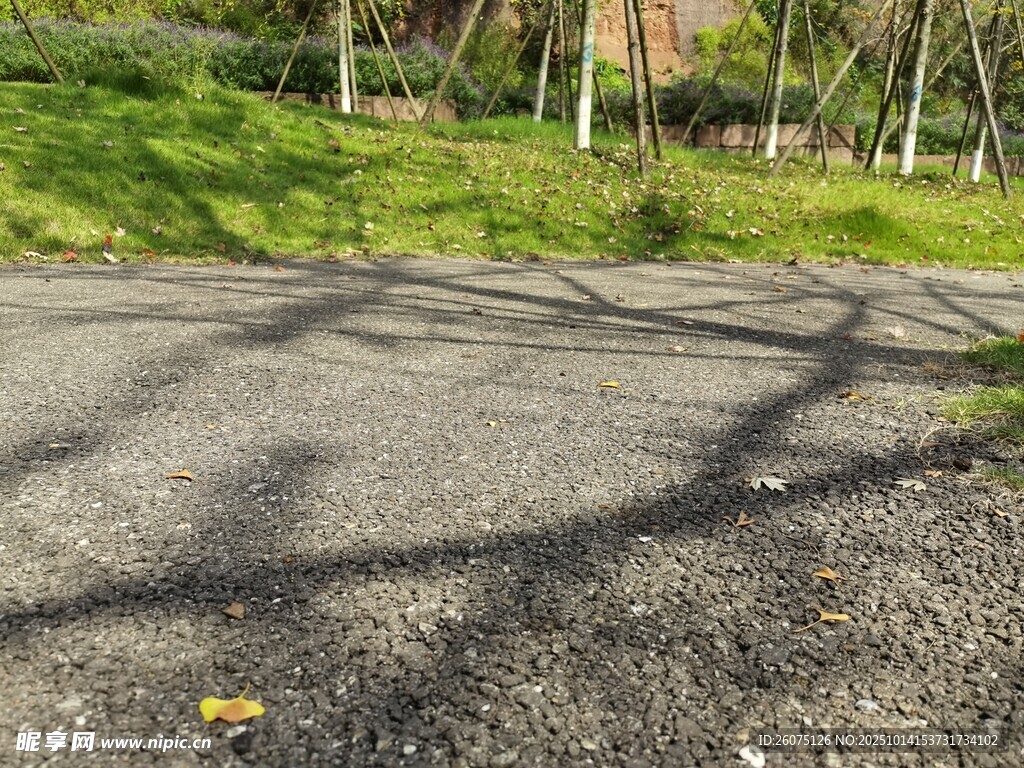 戶外斑駁路面與樹影