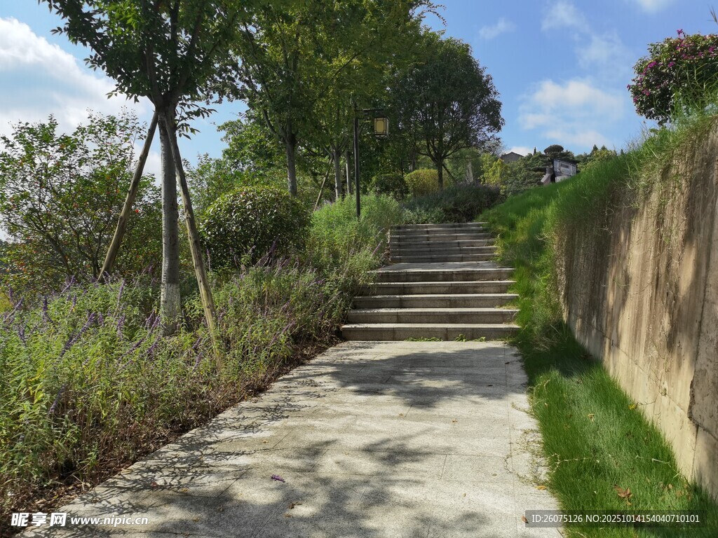 林間石階小道自然景致
