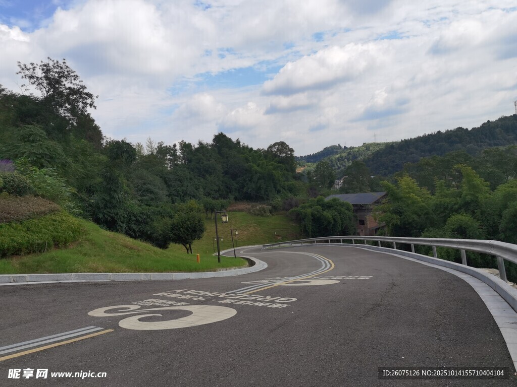 蜿蜒公路旁的蔥郁景致