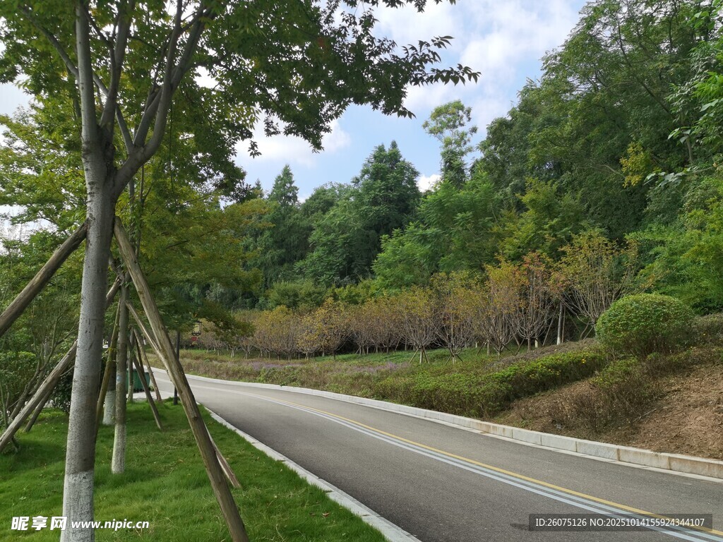 林間公路風景