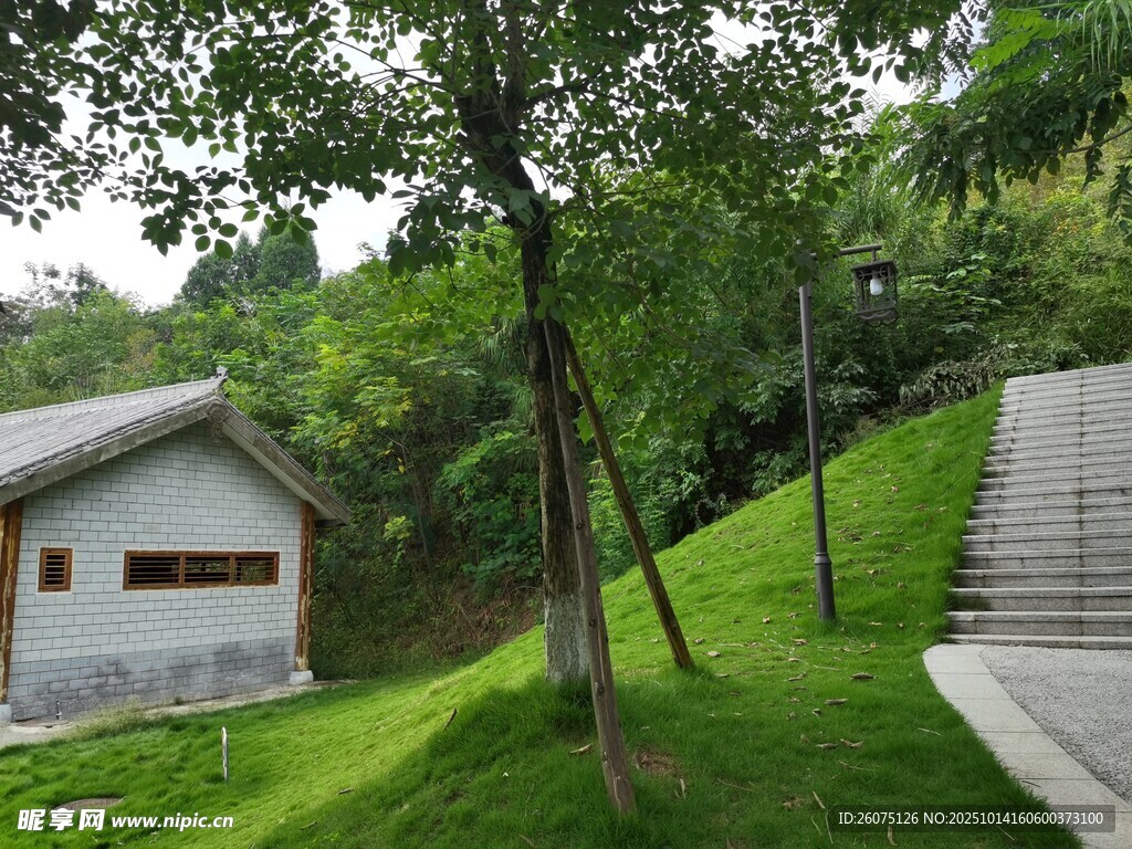 山林間的小屋與步道景觀