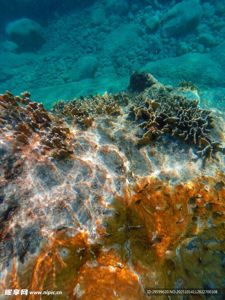 海底斑斕巖石景觀