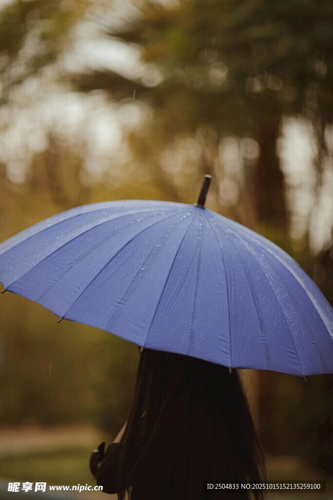 雨中撐藍(lán)傘的孤獨(dú)背影