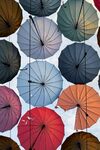 多彩雨傘排列展示