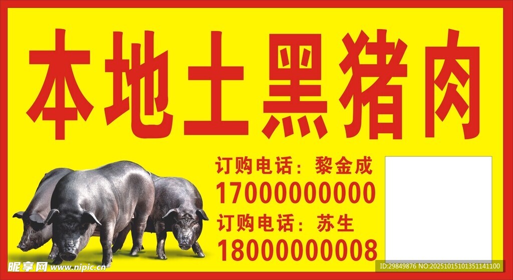 本地土黑豬肉宣傳海報