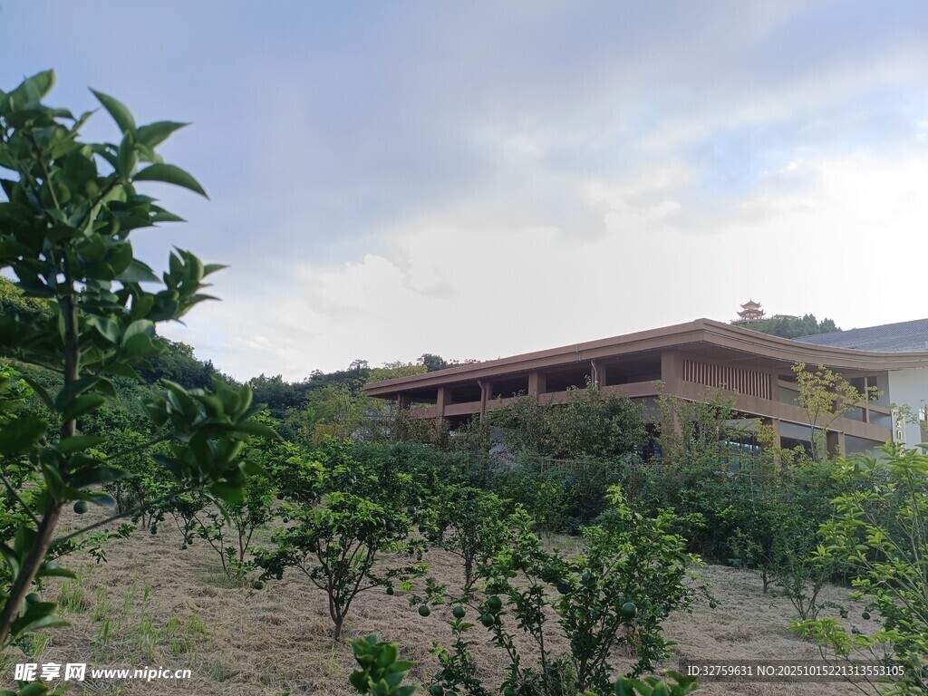 鄉(xiāng)村田園中的多層建筑