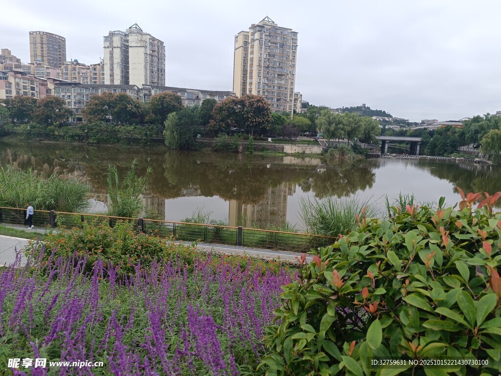 湖畔繁花與城市建筑景觀