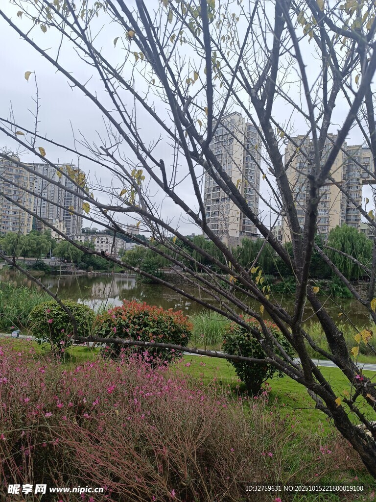 城市中樹(shù)木繁茂的花園景觀