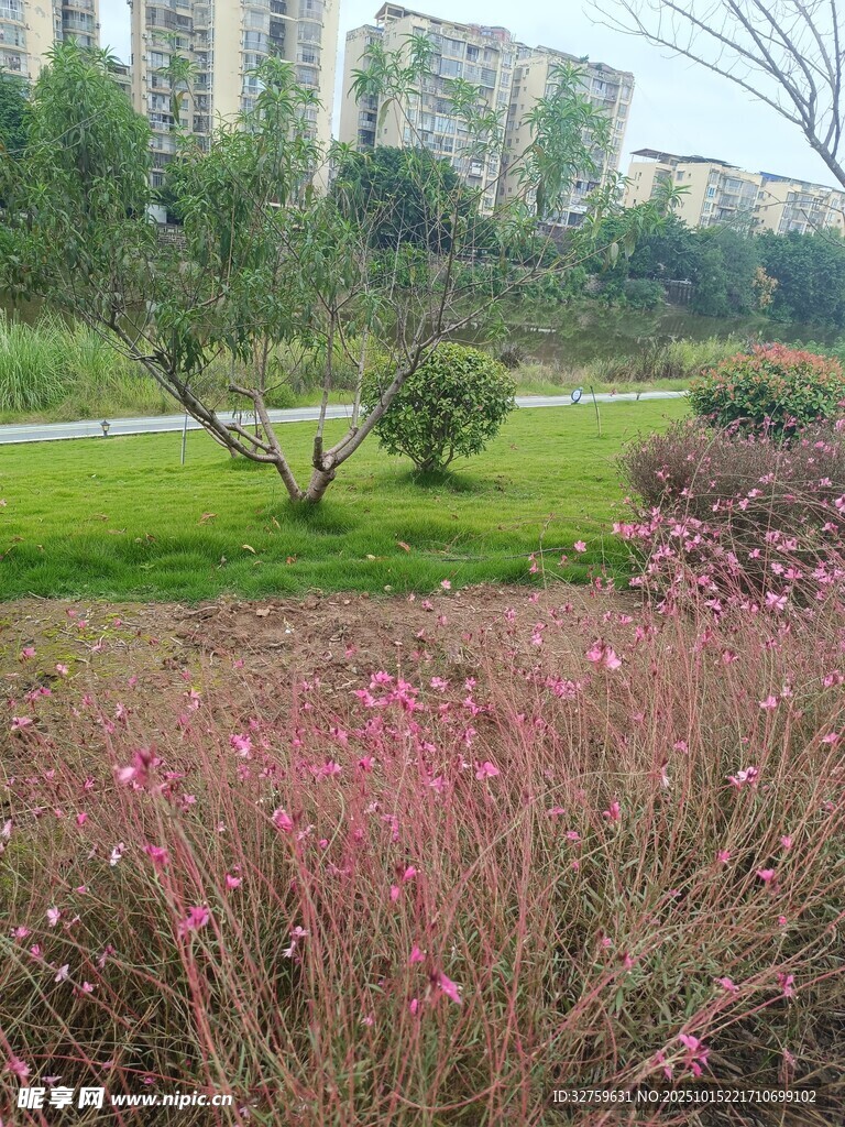 城市中繁花綠樹的景致