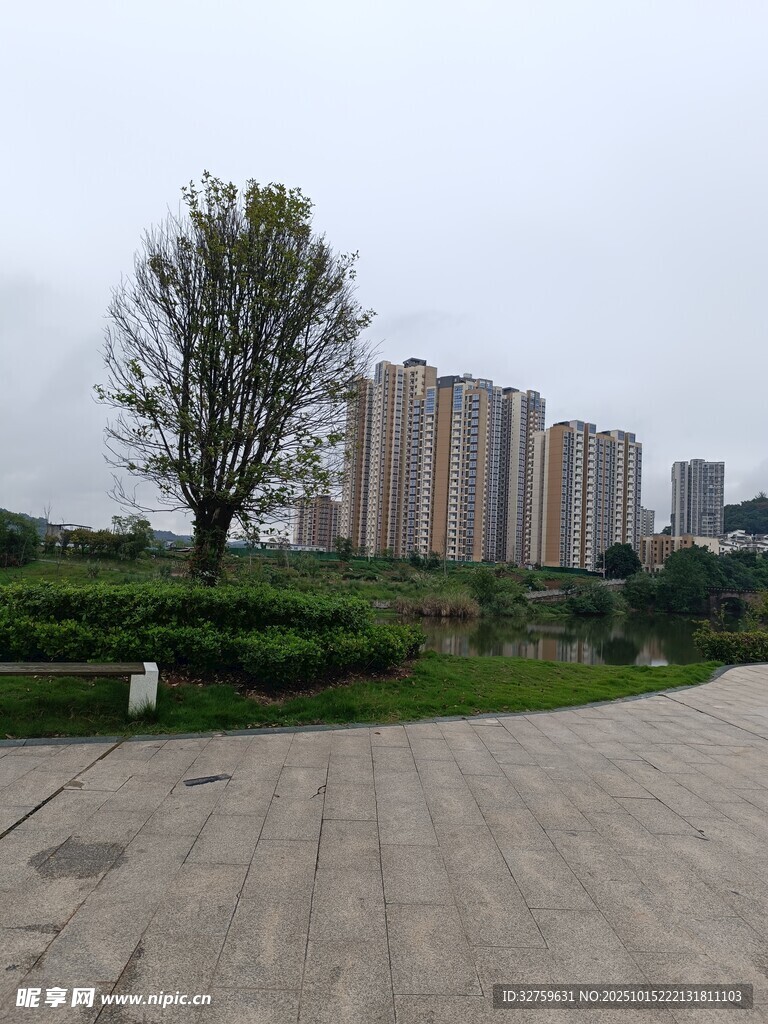 城市公園旁的高樓景觀