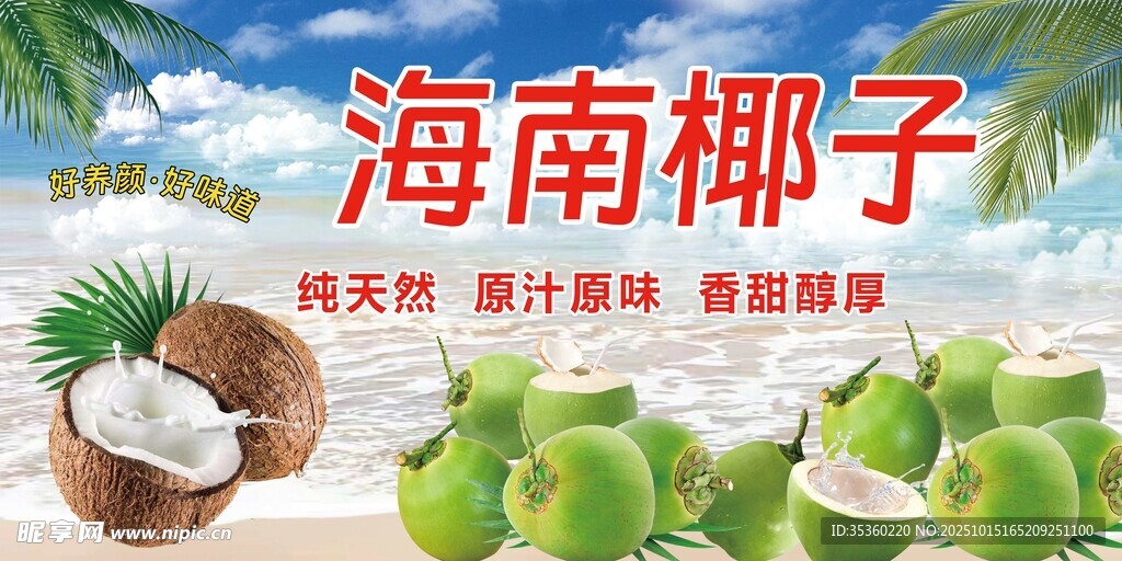 海南椰子