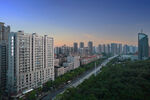 城市天際線與綠樹景觀